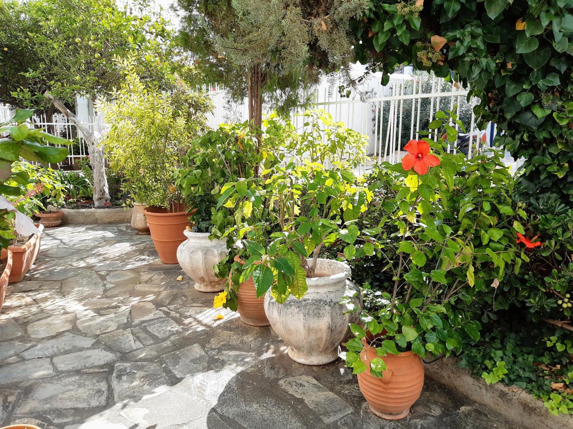 The Elegant Summer House Σπέτσες Εξωτερικό φωτογραφία