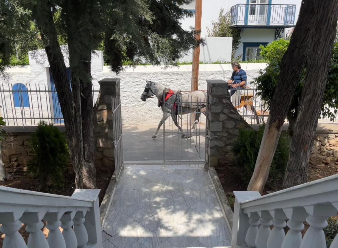 The Elegant Summer House Σπέτσες Εξωτερικό φωτογραφία